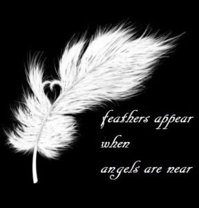 angel I feathers I signs I meaning I quote