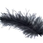 angel I feathers I color I meaning I black